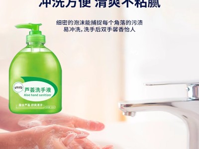 芦荟洗手液 免费打样成品出货快 OEM代加工定制厂家图5
