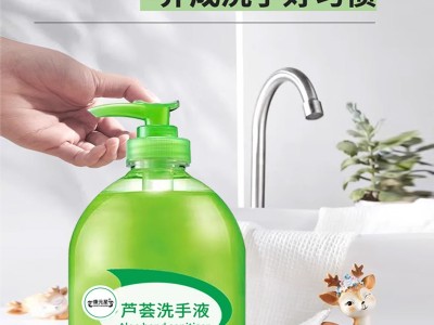 芦荟洗手液 免费打样成品出货快 OEM代加工定制厂家图4